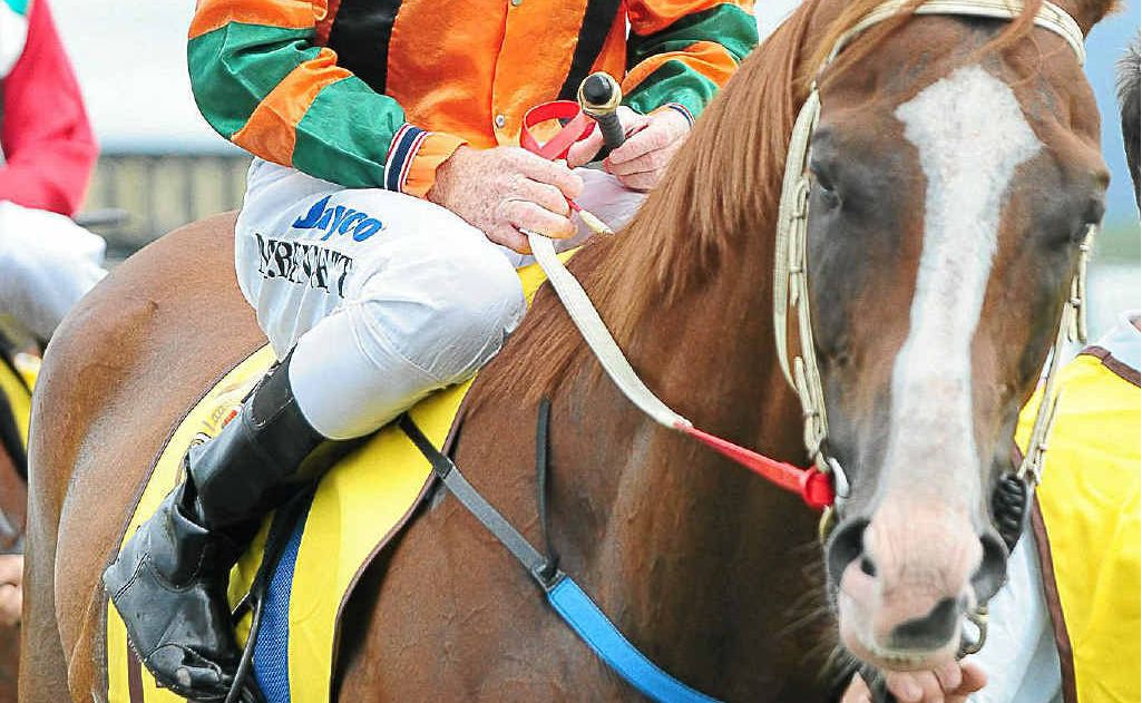 Matthew Bennett will ride Shabana at Casino Matthew Bennett will ride Shabana at Casino